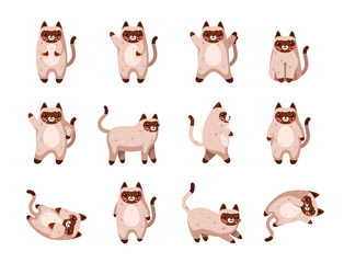 Vector cats. Cute cat set isolated. Funny cartoon animal characters. Different poses and emotions. Flat eps10 illustration.