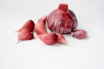 new garlic on white background