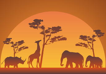 Fototapeta na wymiar Silueta de un atardecer en la savana con elefantes, jirafas y rinocerontes.