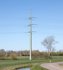 Electricity pole in nature