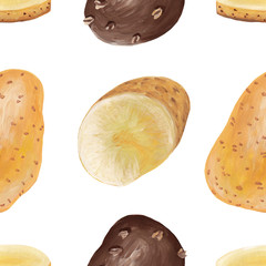 Young potatoes in a peel drawing - seamless pattern on a white background. Raster square illustration of a whole potato in a realistic style.