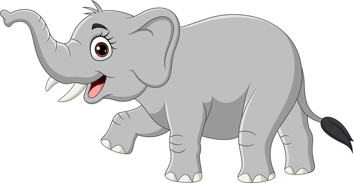 Cartoon elephant isolated on white background 