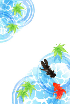 琉金 Images Browse 417 Stock Photos Vectors And Video Adobe Stock 琉金 Images Browse 417 Stock Photos Vectors And Video Adobe Stock
