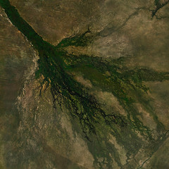 High resolution satellite image of Okavango Delta in Botswana - contains modified Copernicus...