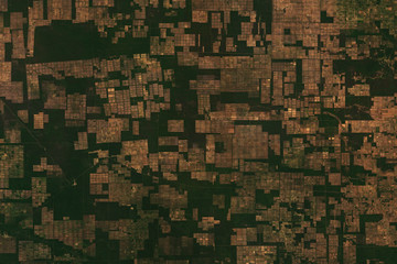 High resolution satellite image of deforestation pattern and cattle farms in Paraguay - contains...