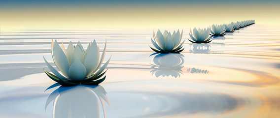 Obrazy na Plexi  3d lots flower on calm ripple water