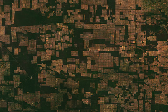 High resolution satellite image of deforestation pattern and cattle farms in Paraguay - contains modified Copernicus Sentinel Data (2020) © lavizzara