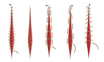 Different Surgical Stitches Isolated On White Background Vector Set