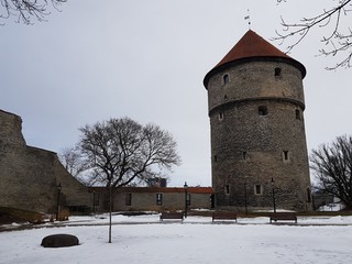 Tallin