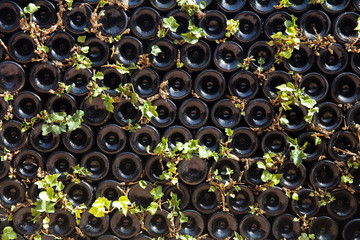 Empty wine bottles stacked-up on one another