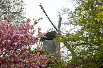 Old windmill with many people in famous garden in Keukenhof.