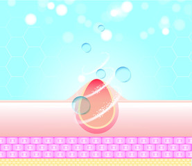 Three main layer of the human skin. skin aging stages diagrams, ollagen and elastin progressive decrease close up, skincare infographics. Illustration about medical diagram.