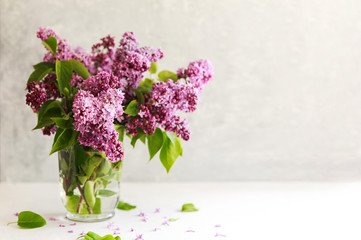 Bouquet of pink lilac in a in a transparent glass vase or can on a light background. Spring concept