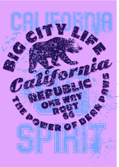 California Bear embroidery graphic design vector art