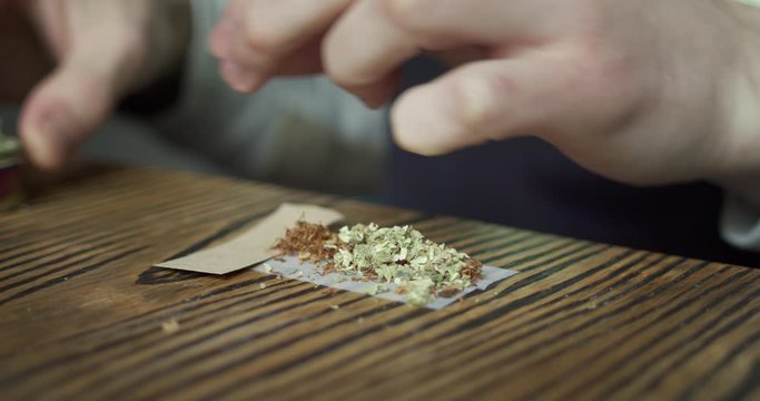 Close up of man take out organic and ethically grown cannabis weed from grinder. Teenager or young adult prepares marijuana blunt or joint at home to relax and unwind after long stressful day