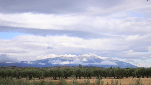 4k time lapse clouds passing over a spanish mountain, Moncayo, over a field of olive trees