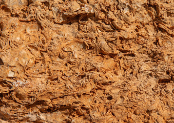 Fossils formed from shells, shells and other types of remains of inhabitants of the oldest seas, a type of porous limestone consisting of shells. The concept of using natural materials.