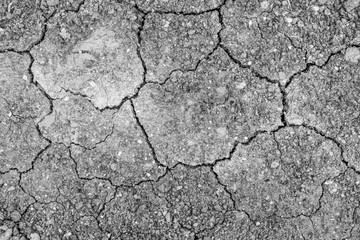The surface is gray or arid land, the soil surface is cracked from arid agriculture on global warming.