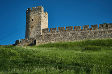 Fototapeta na wymiar Historic Belgrade Fortress in Kalemegdan park in Belgrade, Serbia