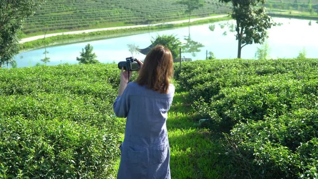 Happy young attractive Asian woman walking on green tea plantation field in summer and using digital camera taking a photo of beautiful nature with smiling face. Pretty girl relax in fresh springtime.