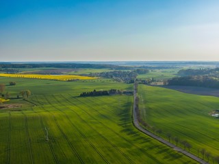 Aerial view of rural area with blue sky and green agricultural fields in spring in Germany
