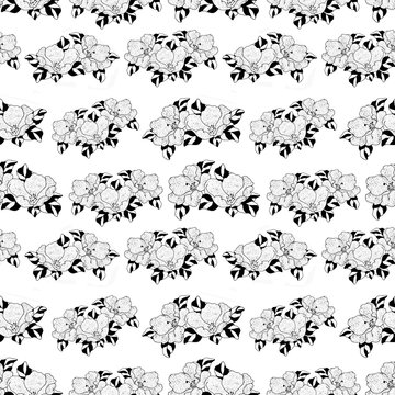 Seamless floral pattern. Print, textile. Packaging. Wallpaper. Seamless background.
