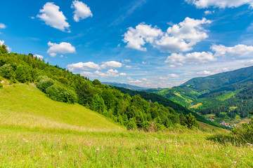 Fototapeta na wymiar fields and meadows of rural landscape in summer. idyllic mountain scenery on a sunny day. grass covered hills rolling in to the distant ridge beneath a bright blue sky with fluffy clouds
