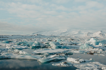 Arktische Landschaft mit Eisbergen, Eismeer
