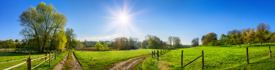 Paysage rural panoramique aux couleurs joyeuses et amicales, avec le soleil qui brille dans le ciel bleu clair et les chemins de terre menant à travers des prairies vertes vibrantes