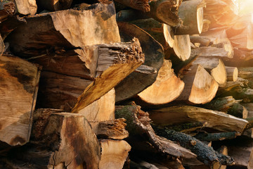 Outdoor shot of a stacked pile of firewood lit by beautiful warm rays of sunlight, with pleasant colors and depth