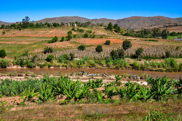 Fototapeta na wymiar マダガスカル のアンタナナリボからmorondavaまでの道の風景。棚田が美しい。標高1500ｍ前後の中央高地は、どこへいっても棚田があった。