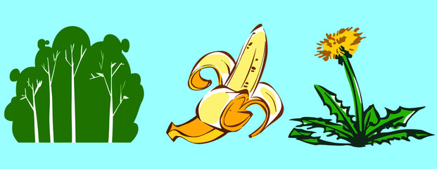 Vector color set of plants and fruit. Tree, banana, dandelion.