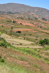 マダガスカル のアンタナナリボからmorondavaまでの道の風景。棚田が美しい。標高1500ｍ前後の中央高地は、どこへいっても棚田があった。