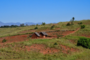 マダガスカル のアンタナナリボからmorondavaまでの道の風景。棚田が美しい。標高1500ｍ前後の中央高地は、どこへいっても棚田があった。