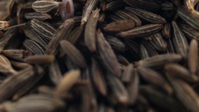 Spices cumin on a white background extremely close-up. Camera movement, real time, low depth of field