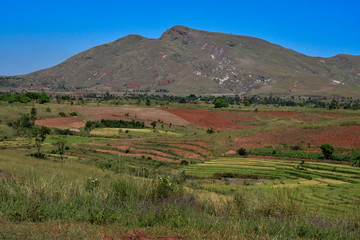 Obraz premium マダガスカル のアンタナナリボからmorondavaまでの道の風景。棚田が美しい。標高1500ｍ前後の中央高地は、どこへいっても棚田があった。