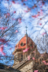 The dome of the church with a cross on top through flowering spring trees as a symbol of the Easter...