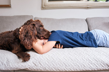 Boy lying on sofa with pet dog