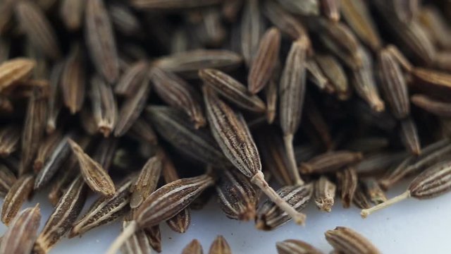 Mountain of spicy cumin spices on a white background. Extreme close-up, real time, low depth of field, camera movement from right to left