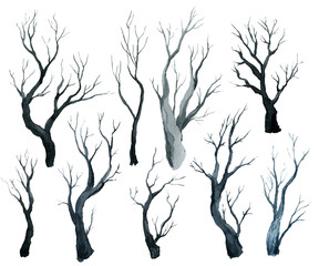 gray black black forest, trees and branches, watercolor hand drawing - 343748358