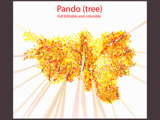 autumn Flat Vector illustration  Quaking aspen Pando  tree editable