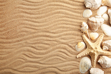 Fototapeta na wymiar Starfish and seashells on sandy beach. Summer concept