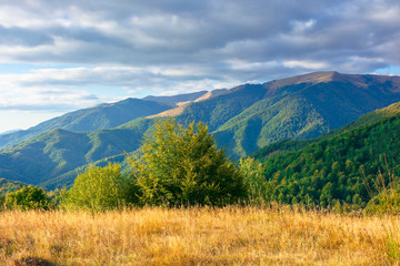 wonderful autumn scenery on a sunny evening. trees and weathered grass on the hills. mountain range in the distance beneath a blue sky with clouds