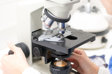 Vet puts a sample under the microscope and examines for pathogenic germs.