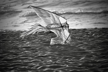 Samotny latawiec na plaży - obrazy, fototapety, plakaty