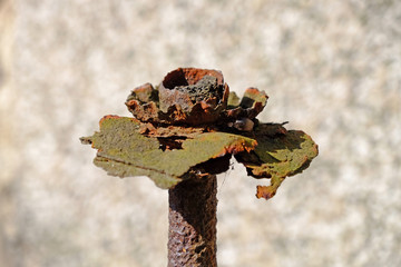 metallic red elements of the old fence