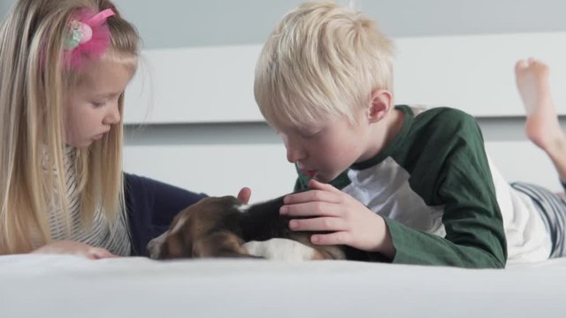 Happy kids with cute puppy beagle lie at home in bed.