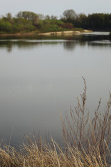 the river in the forest