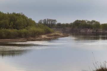 the river in the forest