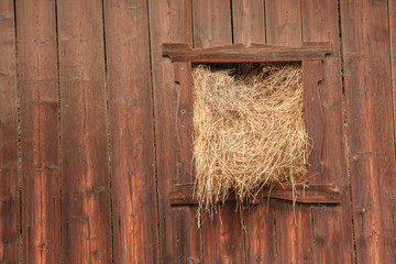 Seasonal hay from an old hayloft in Dolomites